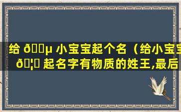 给 🐵 小宝宝起个名（给小宝宝 🦋 起名字有物质的姓王,最后一个字是木）